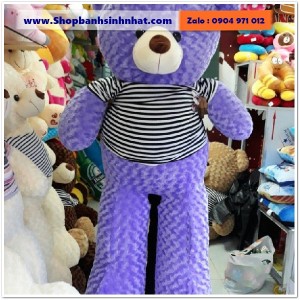 Gấu Bông Teddy Hàn Quốc - GAU49